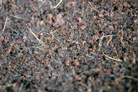 Peat and Potting Mix