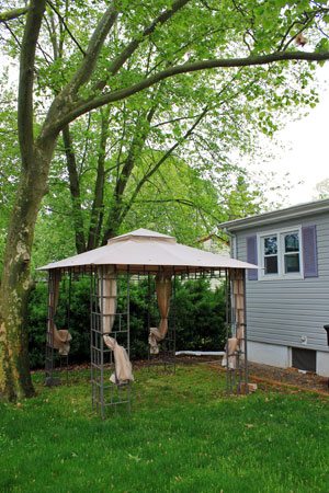 Backyard Canopy
